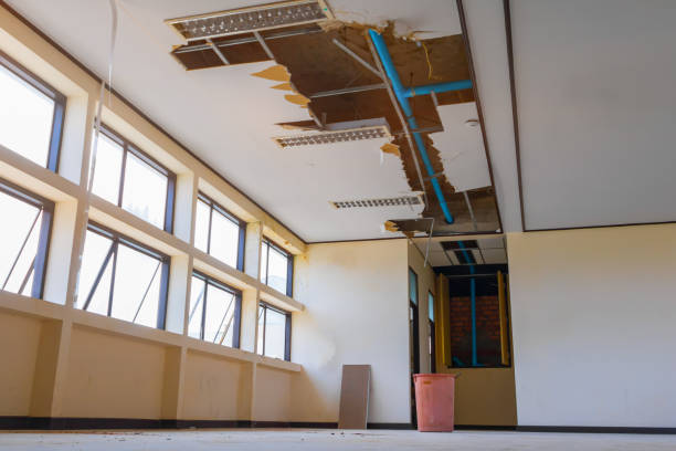 Best Basement water damage restoration  in Leona Valley, CA