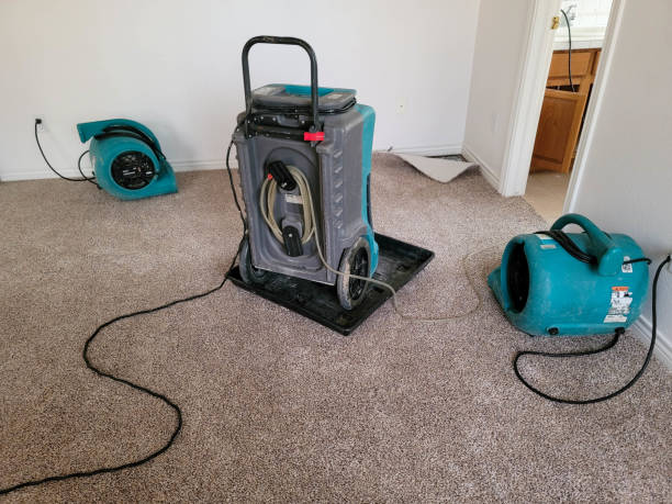 Best Residential water damage restoration  in Leona Valley, CA