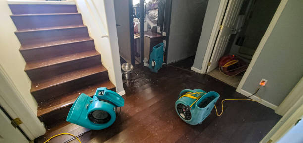 Best Water damage restoration process  in Leona Valley, CA