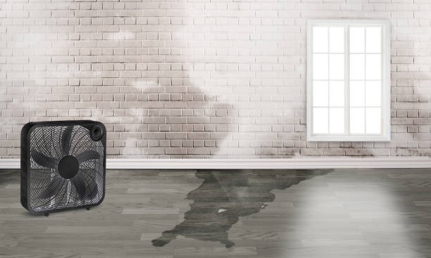 Best Emergency water damage restoration  in Leona Valley, CA