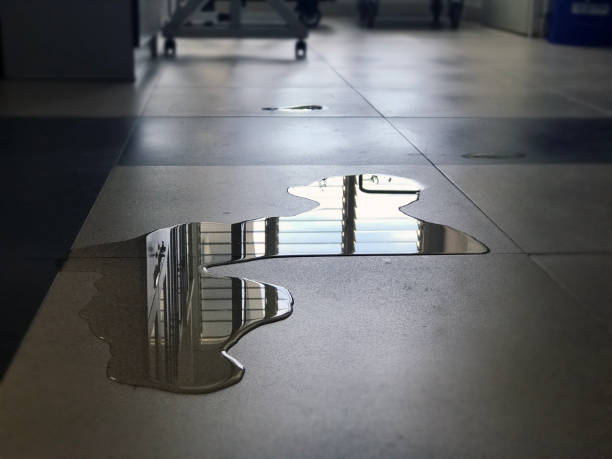 Best Water damage cleanup near me  in Leona Valley, CA