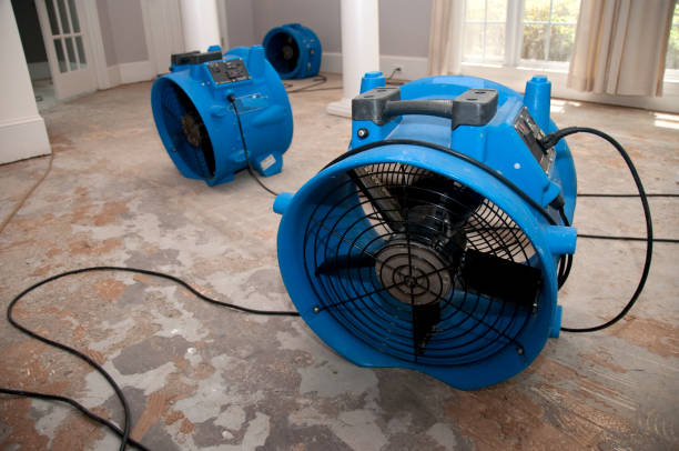 Best Sewage cleanup and water damage restoration  in Leona Valley, CA
