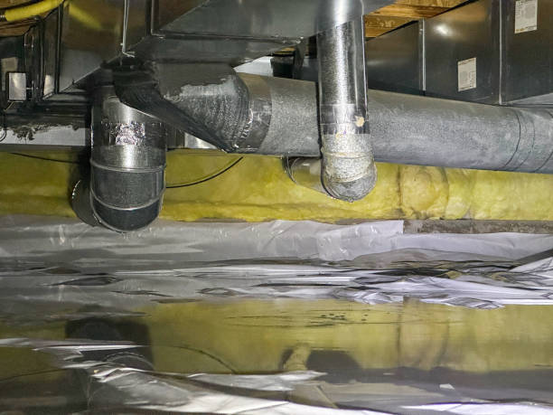 Best Water damage cleanup near me  in Leona Valley, CA