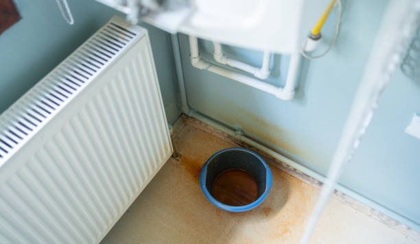 Best Water damage restoration services  in Leona Valley, CA