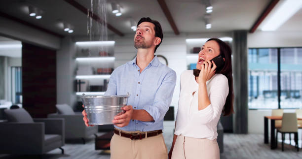 Best Sewage cleanup and water damage restoration  in Leona Valley, CA